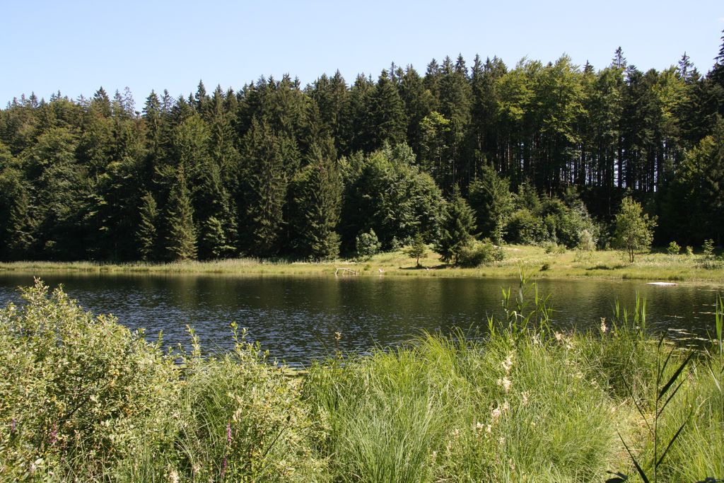 Photo №3 of Bichlersee