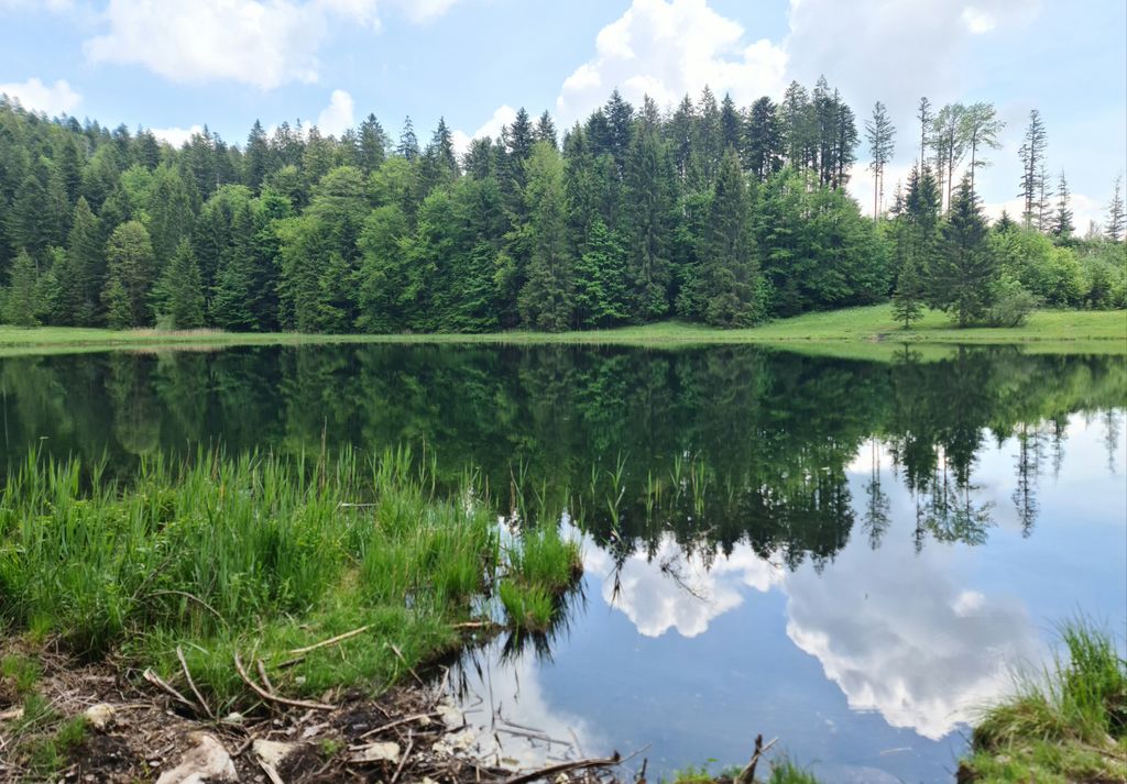 Photo №5 of Bichlersee