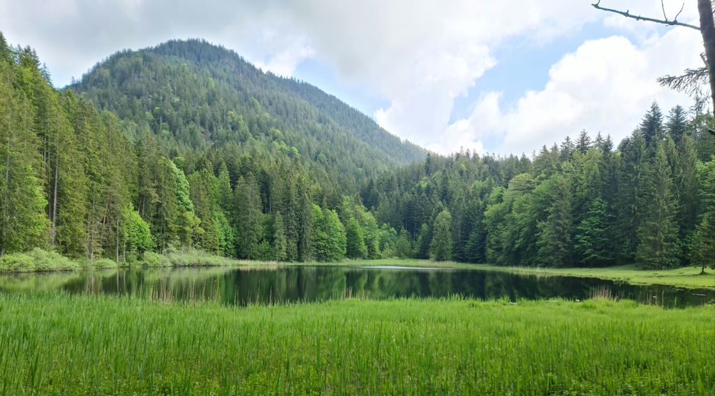Photo №4 of Bichlersee