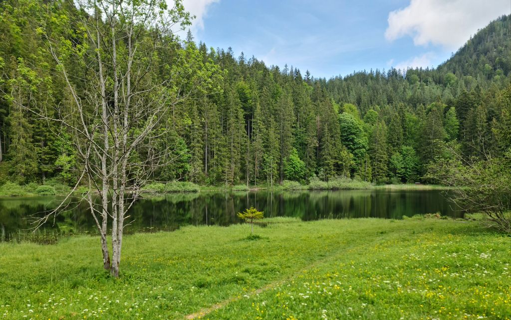 Photo №6 of Bichlersee