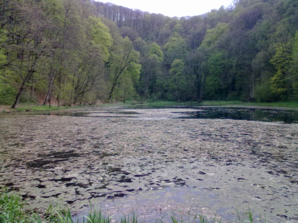 Jankovačko jezero