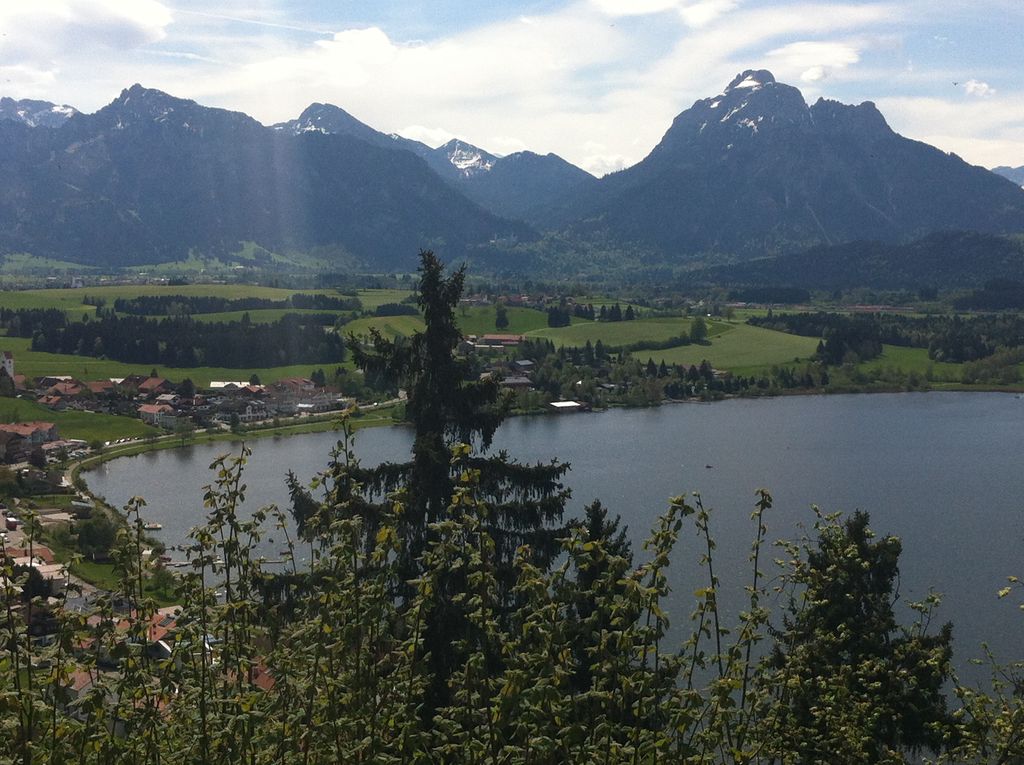 Photo №10 of Vilser Bebele