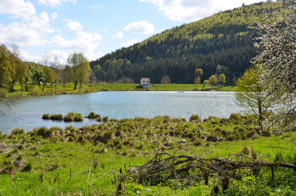 Photo №3 of Oberdigisheimer Stausee