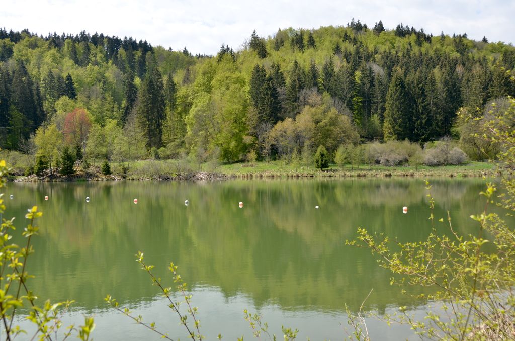 Photo №4 of Oberdigisheimer Stausee