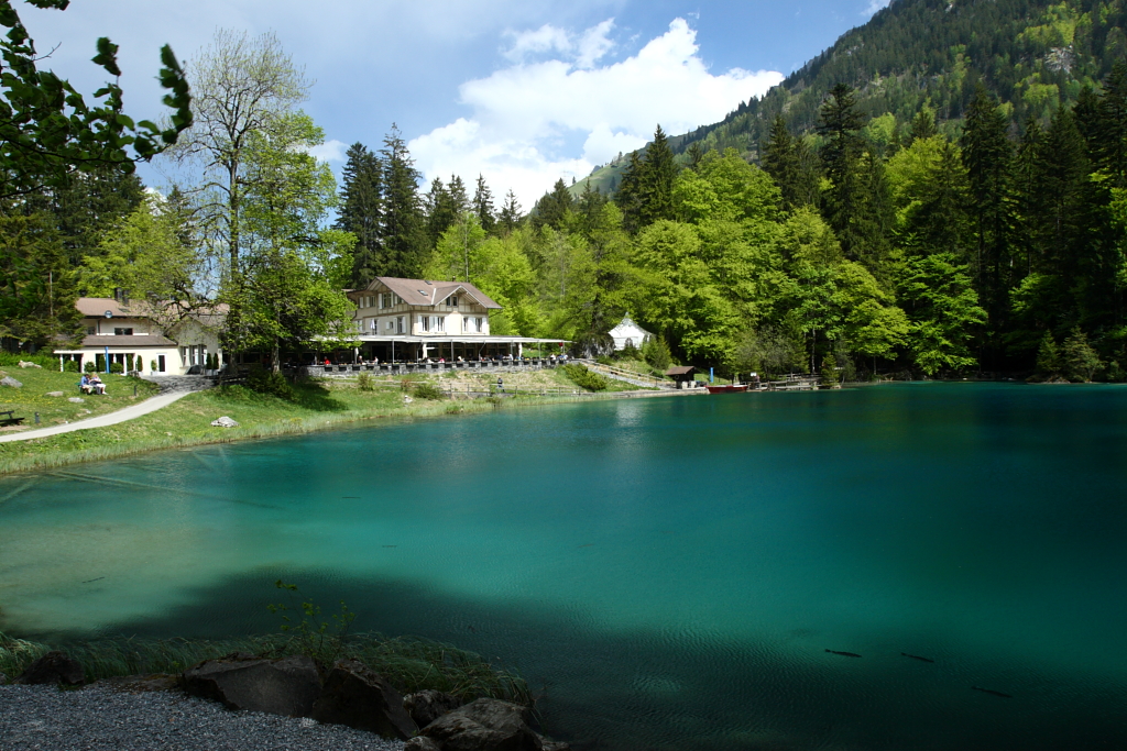 Photo №6 of Blausee