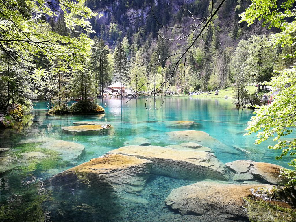 Photo №7 of Blausee