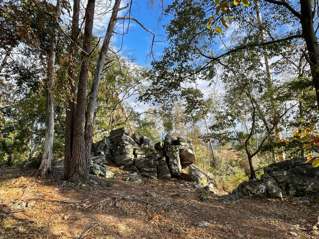 Photo №2 of Bleibeskopf