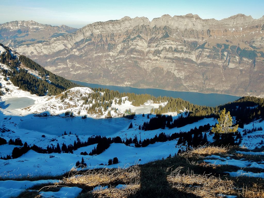 Photo №2 of Stelligrat