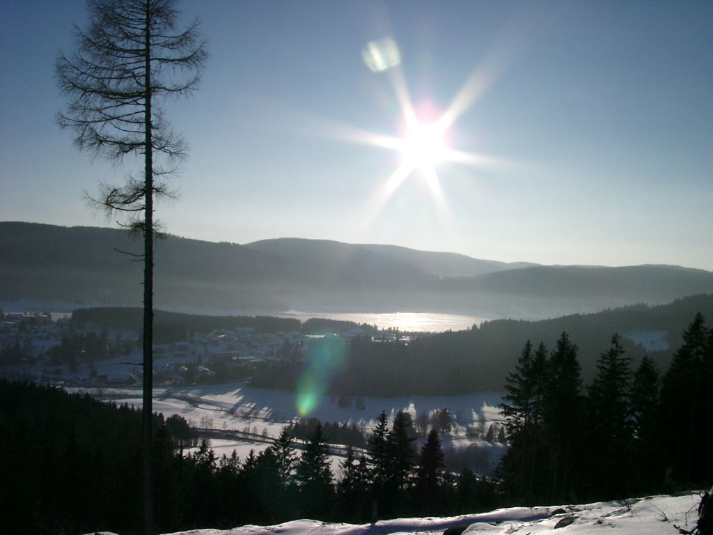 Riesenbühl
