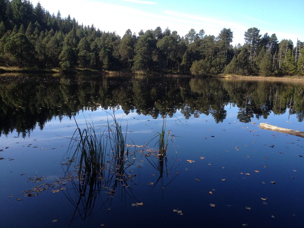 Photo №2 of Blindensee