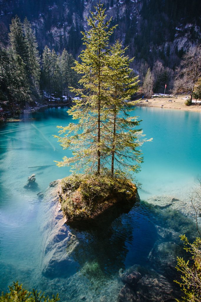 Photo №11 of Blausee