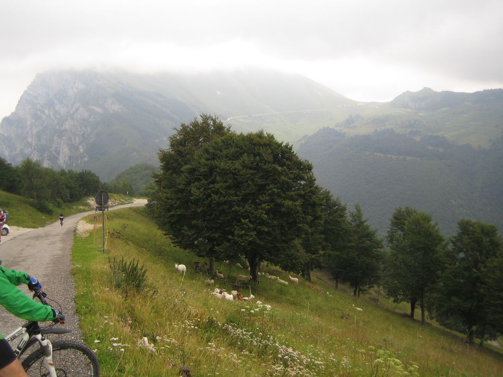 Photo №2 of Bocca di Navene
