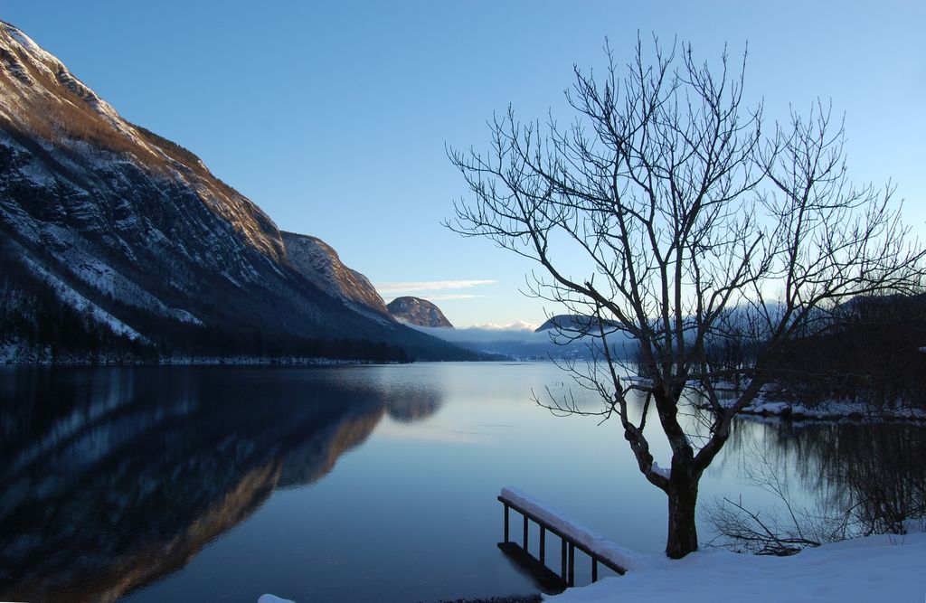 Photo №6 of Lake Bohinj