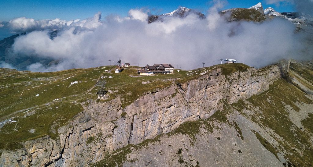 Photo №4 of Bonistock