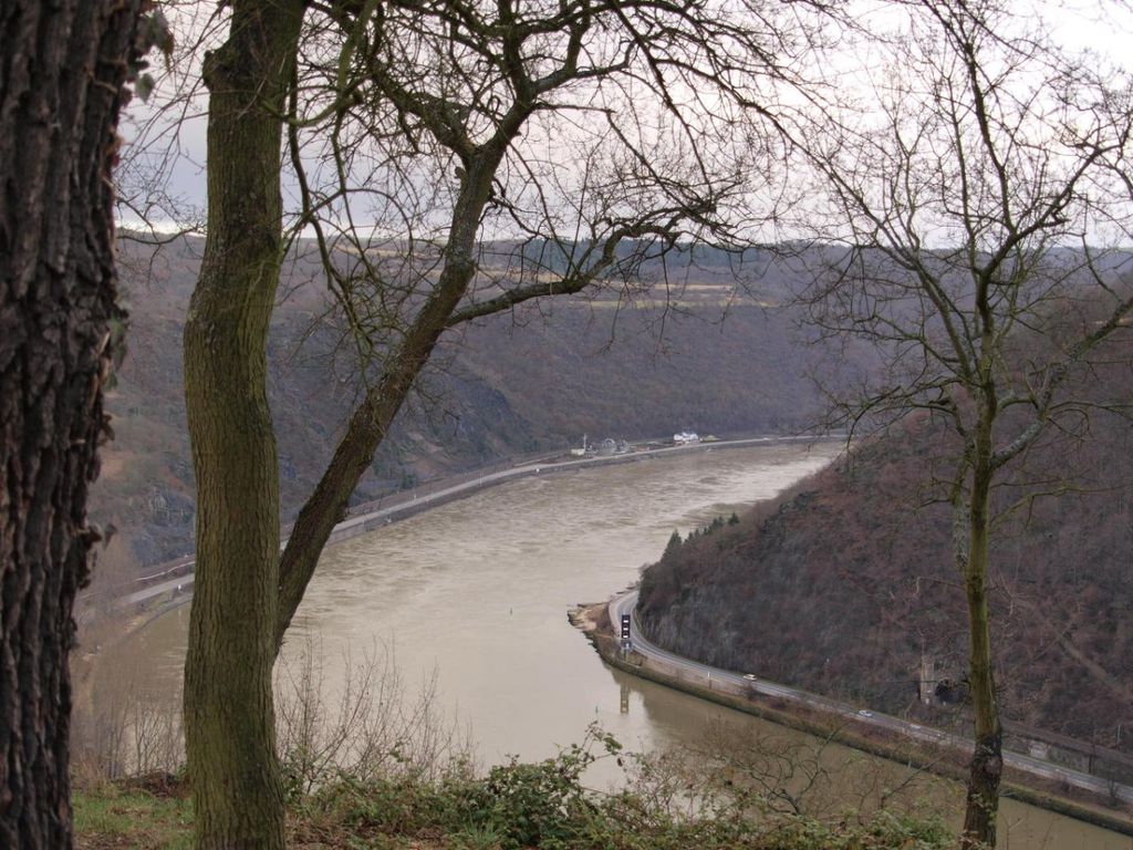Photo №5 of Loreley