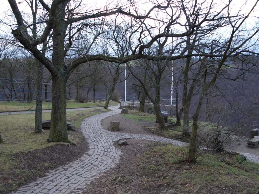 Photo №8 of Loreley