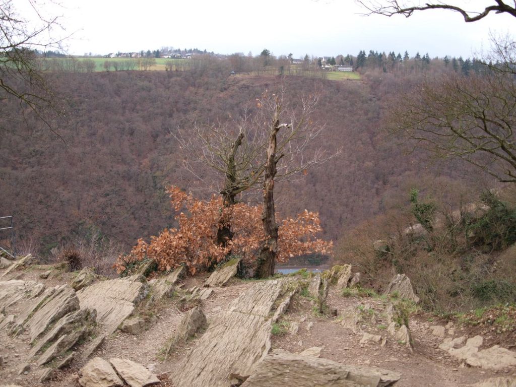 Photo №6 of Loreley