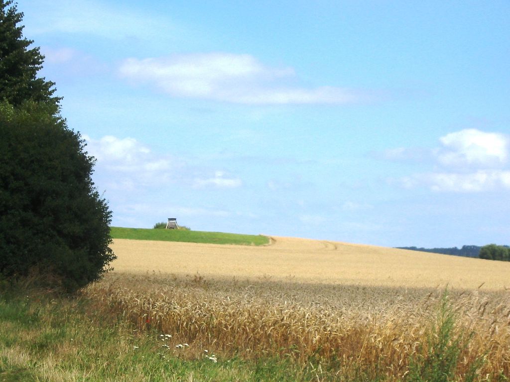 Photo №2 of Mühlenberg