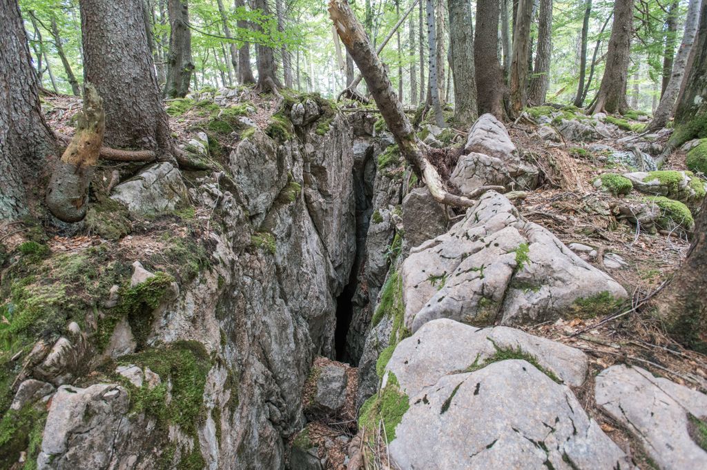 Photo №4 of Brochener Kogel