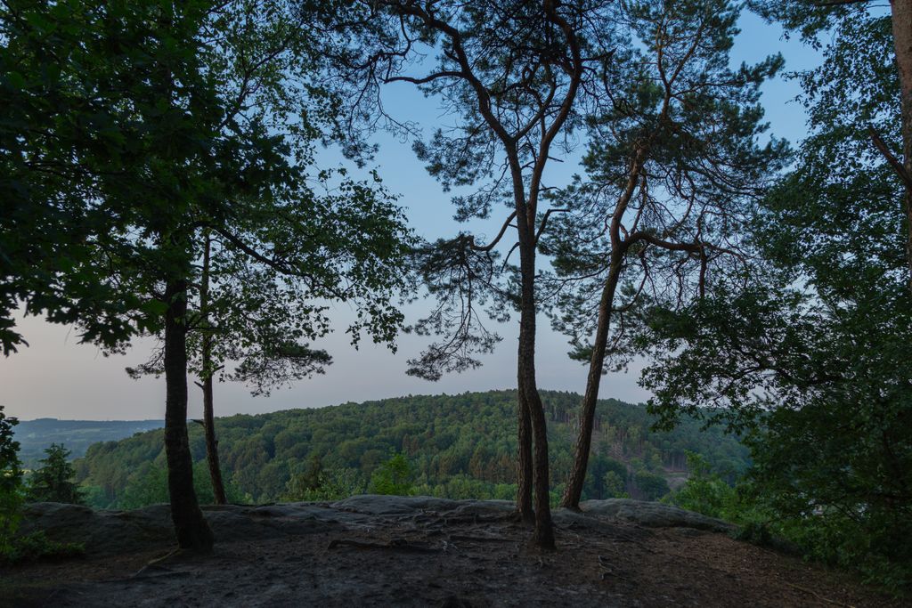 Photo №2 of Königstein