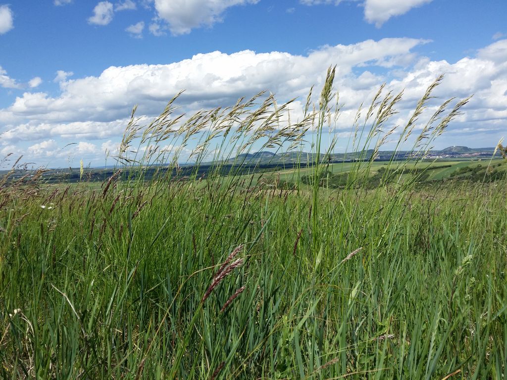 Photo №5 of Leopoldsberg