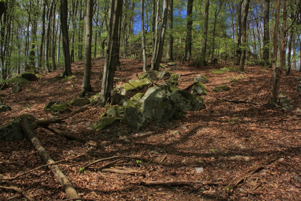 Photo №4 of Ebersberg
