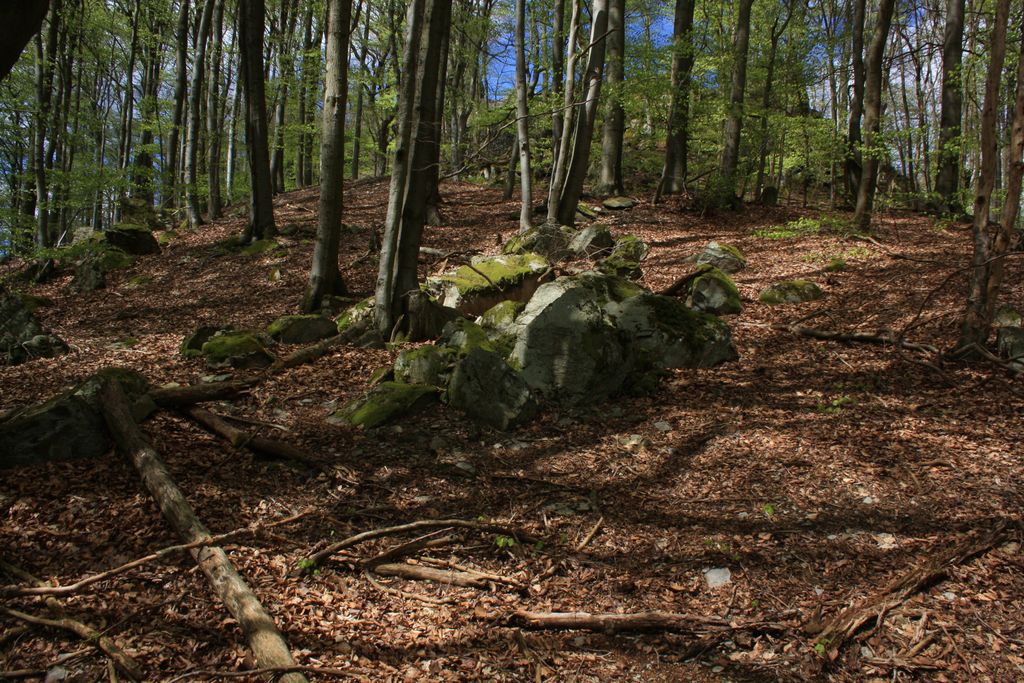 Photo №6 of Ebersberg