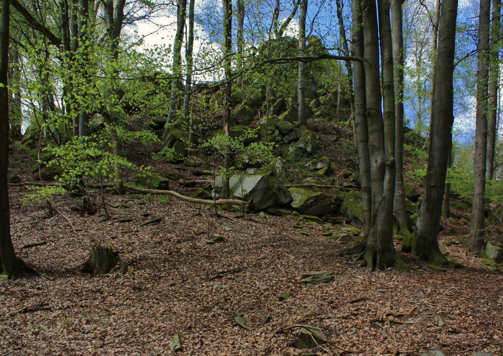 Photo №8 of Ebersberg