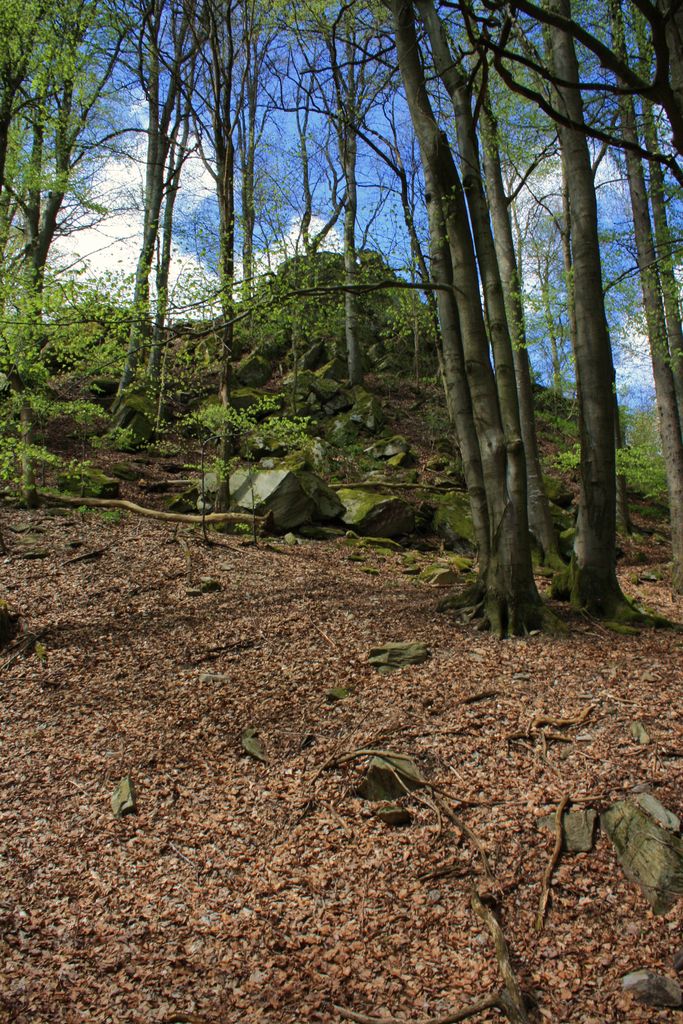 Photo №9 of Ebersberg