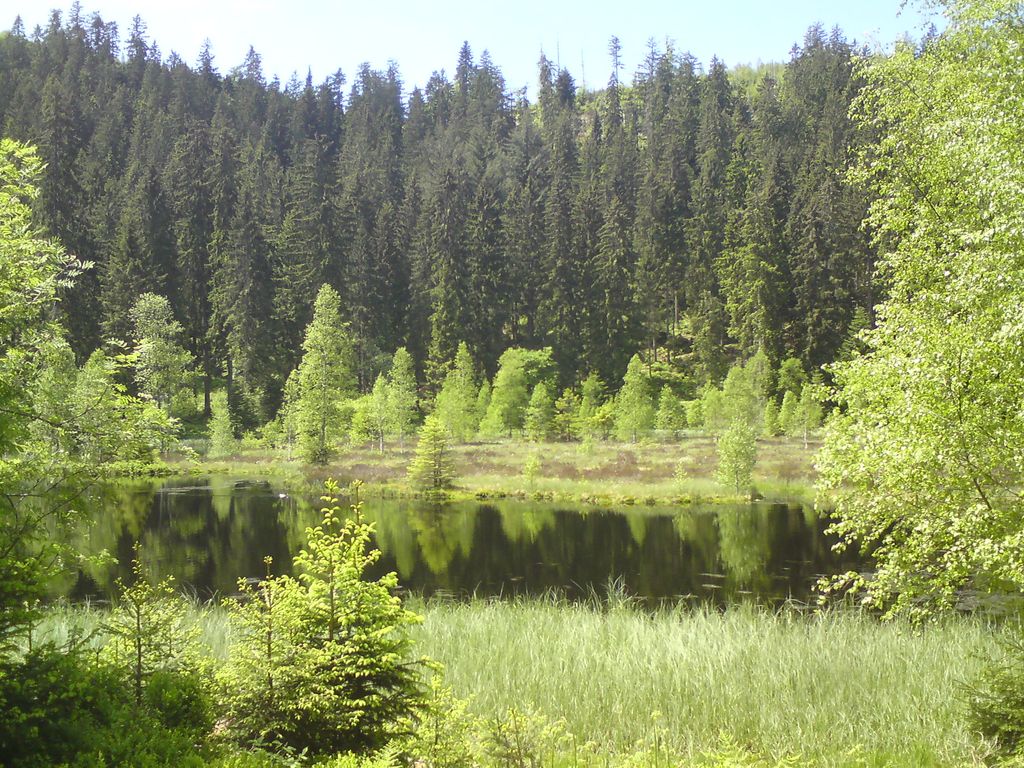 Buhlbachsee