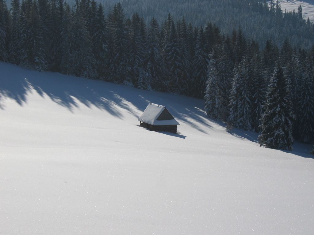 Bukowina_Tatrza%C5%84ska%2C_Poland_-_panoramio_(4)