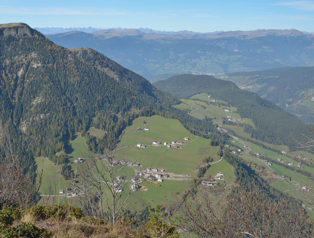 Photo №5 of Bula - Pufels - Bulla