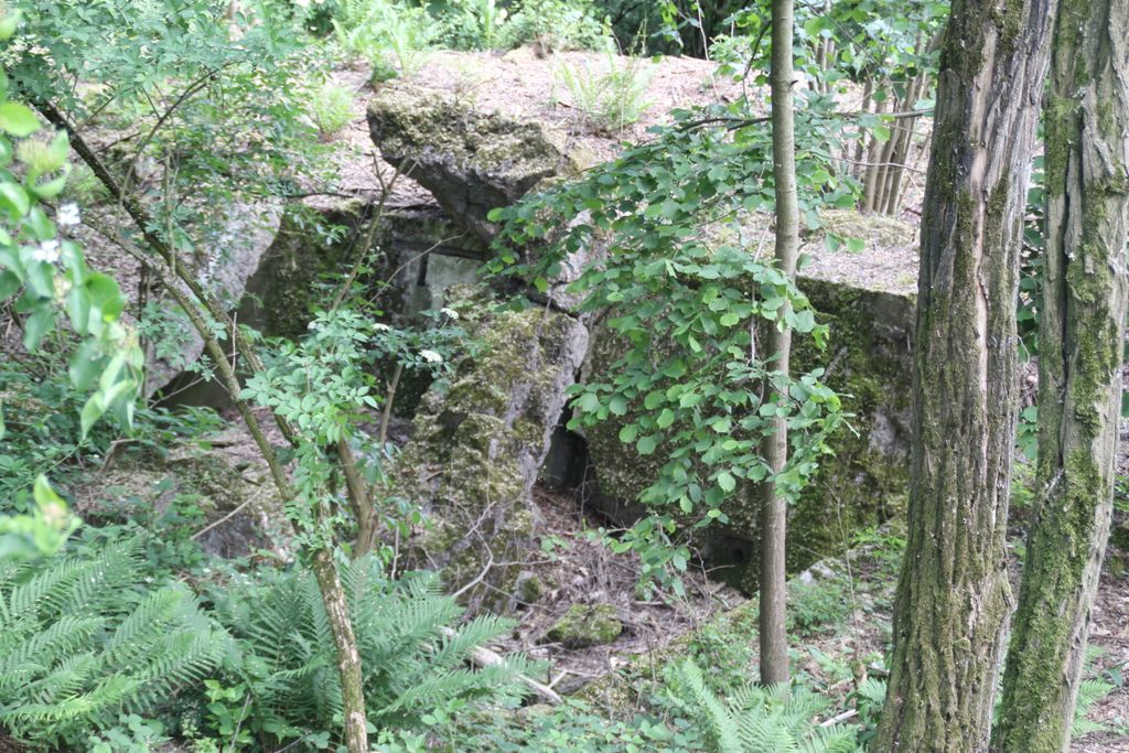 Photo №2 of Kapellenberg