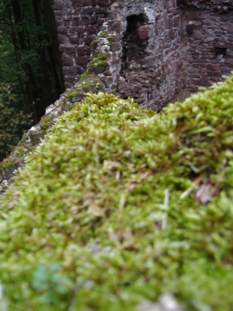 Schloßberg