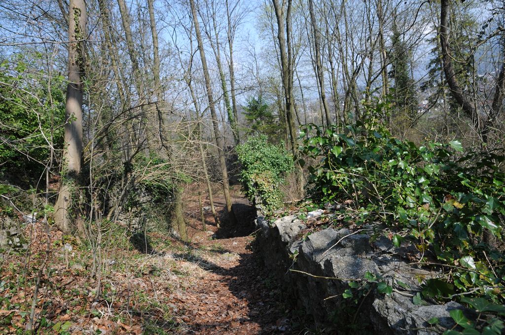 Photo №6 of Schlosshügel