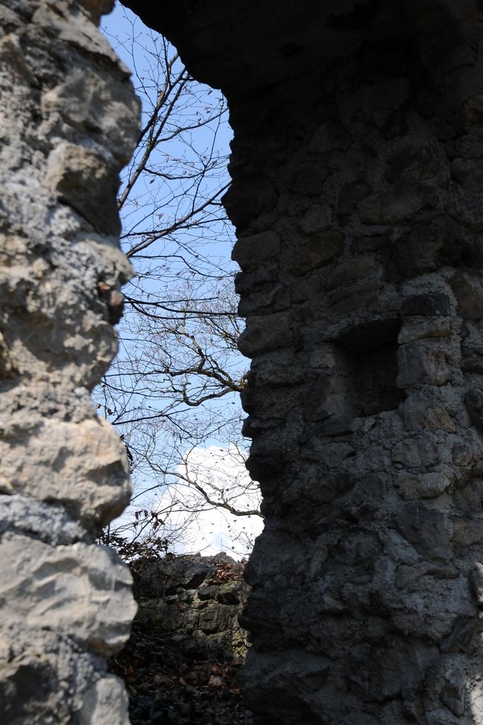 Photo №7 of Schlosshügel
