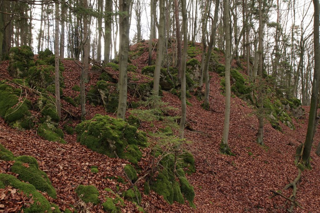 Photo №3 of Altschloßberg