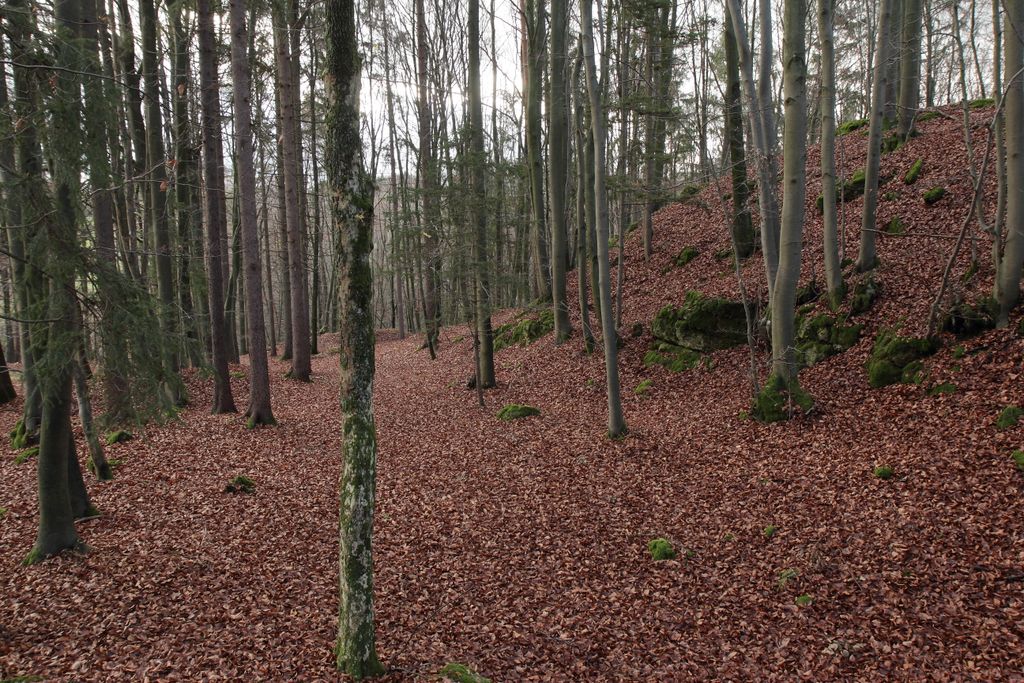 Photo №6 of Altschloßberg