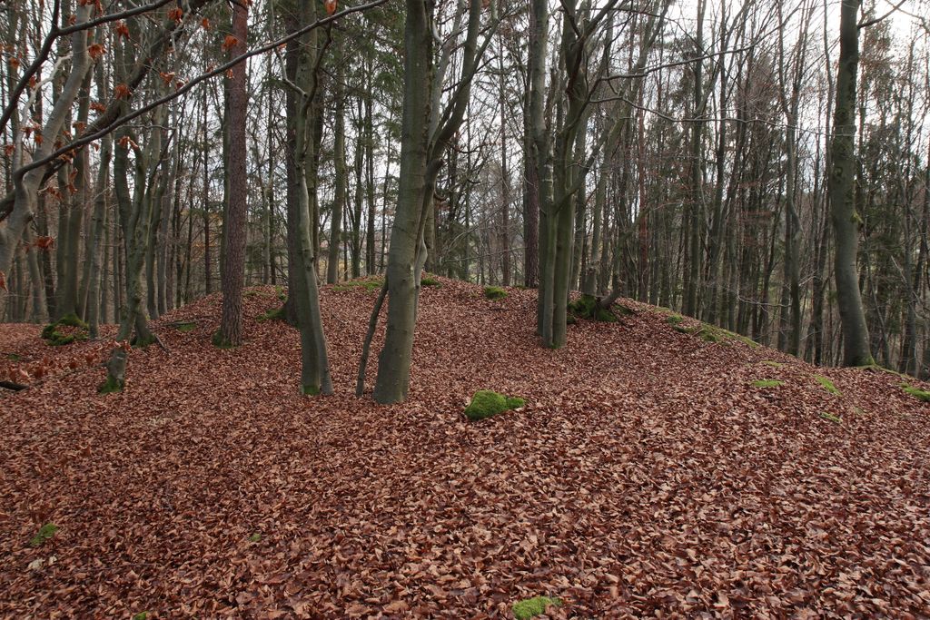 Photo №8 of Altschloßberg