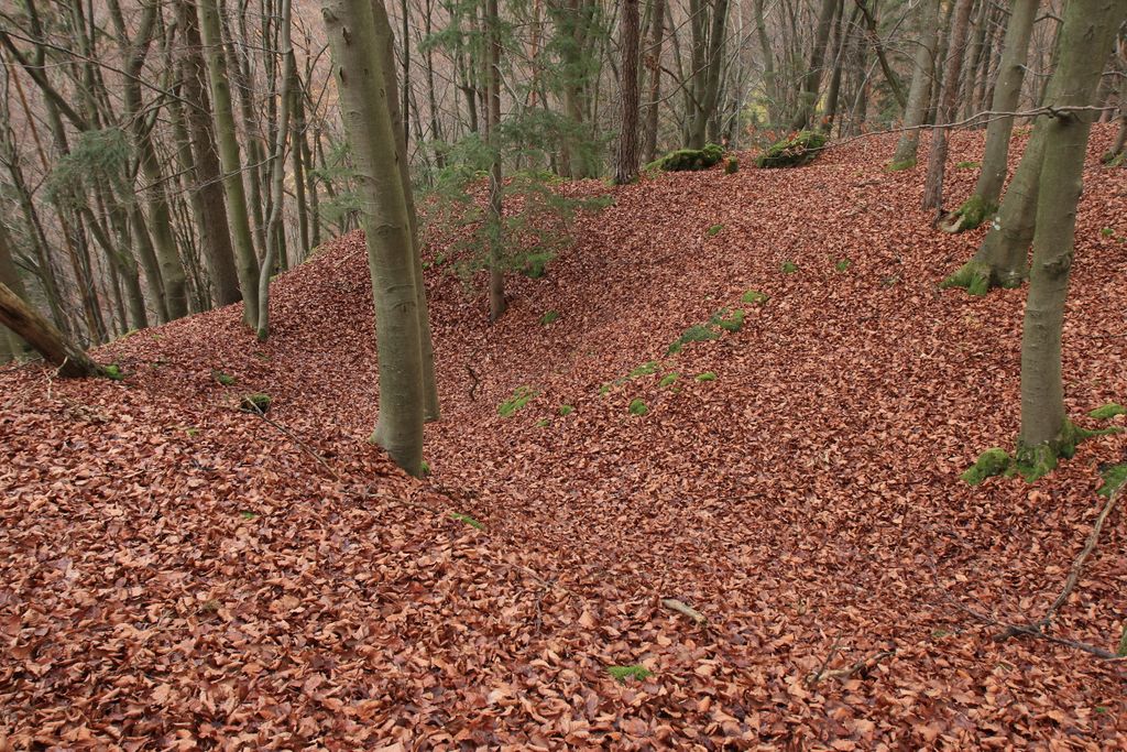 Photo №7 of Altschloßberg
