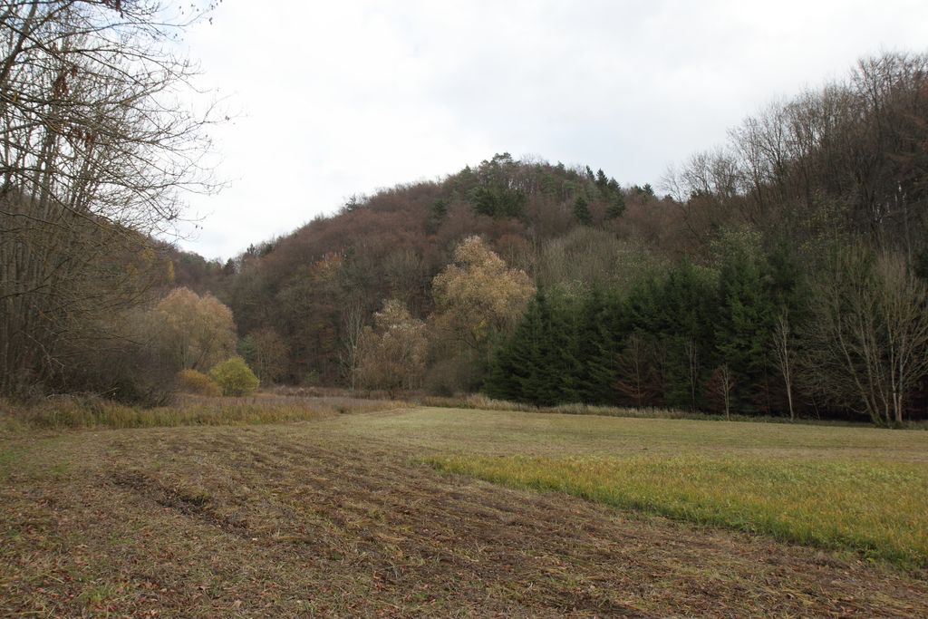 Photo №5 of Altschloßberg