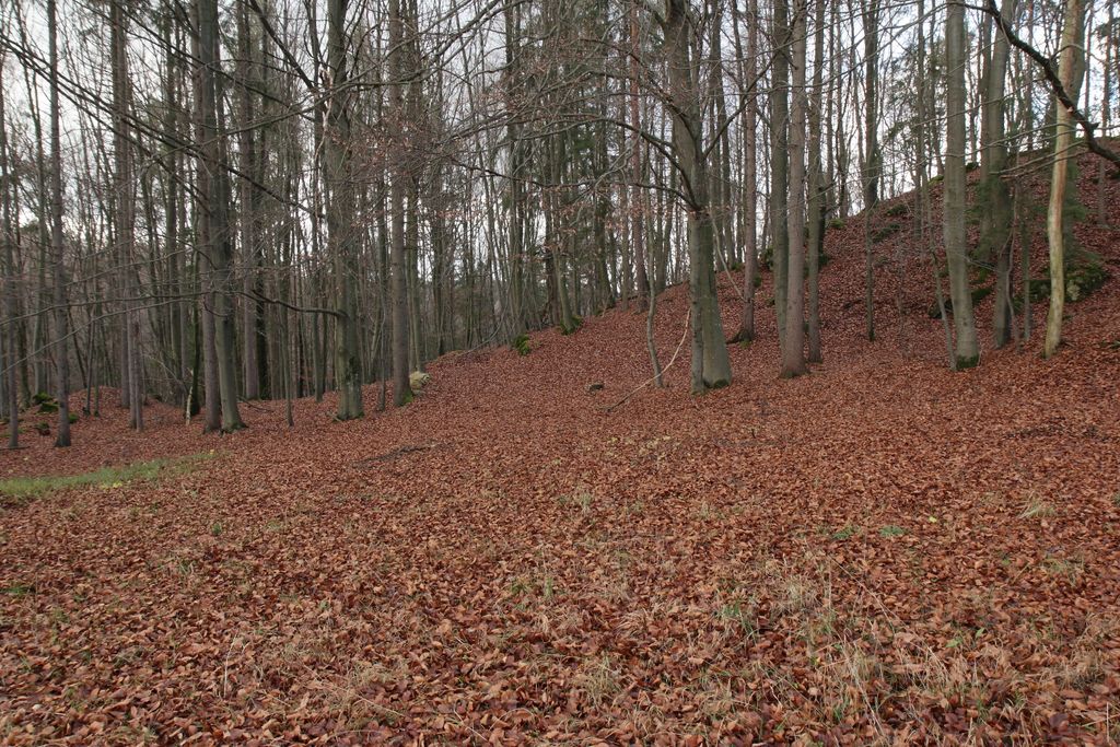 Photo №10 of Altschloßberg