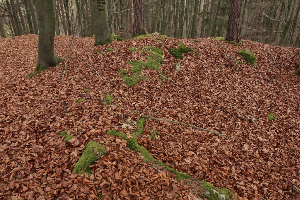 Photo №11 of Altschloßberg