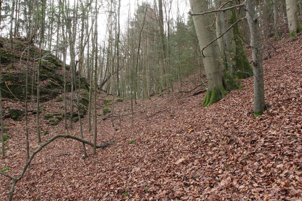 Photo №7 of Schweinthaler Wand