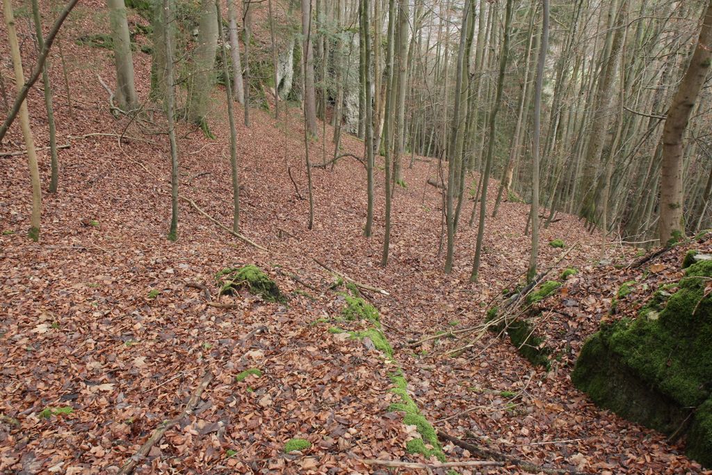 Photo №4 of Schweinthaler Wand