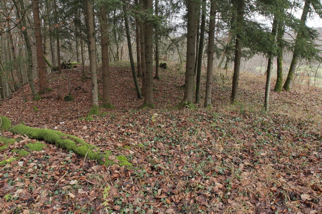 Photo №5 of Schweinthaler Wand