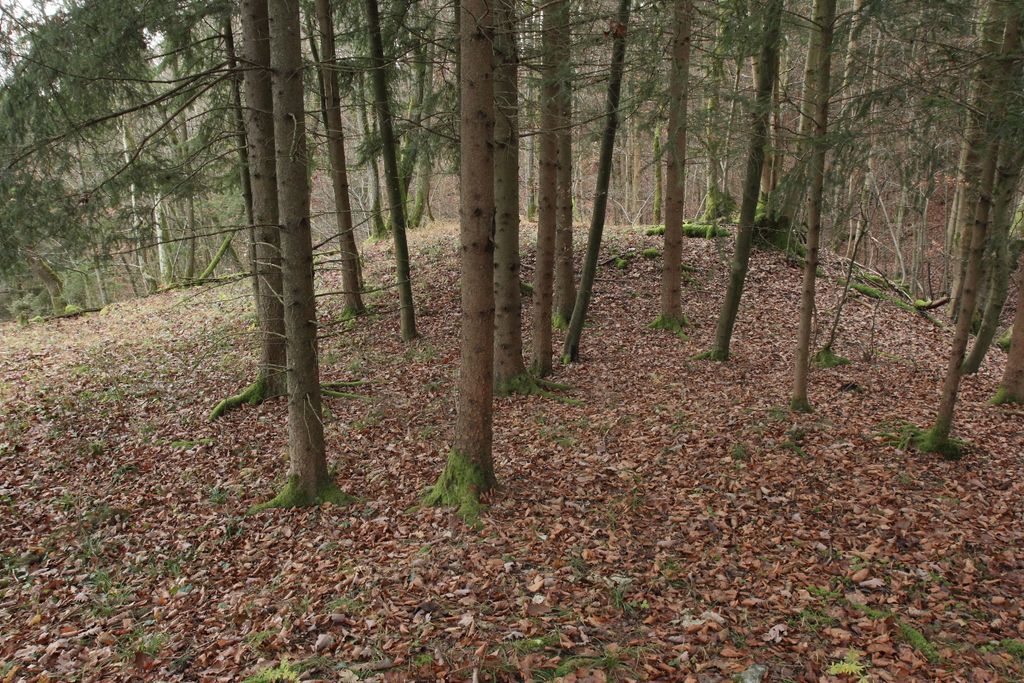 Photo №2 of Schweinthaler Wand