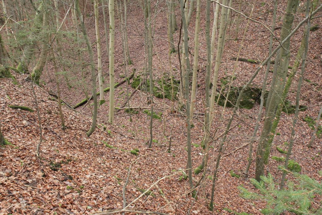 Photo №6 of Schweinthaler Wand