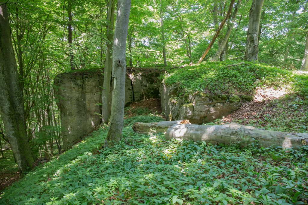 Photo №2 of Plankenstein