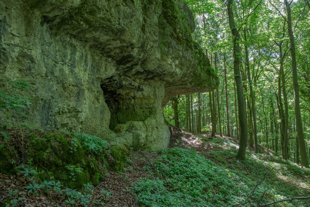 Photo №5 of Plankenstein